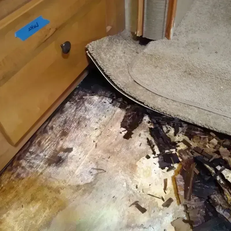 Wood Floor Water Damage in Atlanta, MI